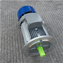 臺(tái)州清華紫光BMA剎車電機(jī)