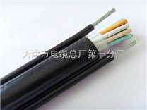 RVV安防電纜 RVV 2*0.2 3X0.5 4X1.5 4X0.75