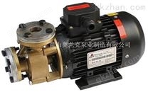 WF-10T-200模溫機(jī)泵