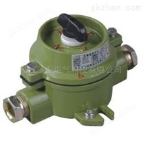 SWB-10系列防爆照明开关