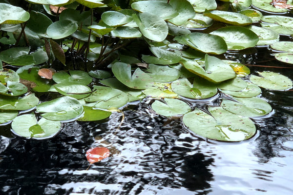 南方泵業(yè)全國(guó)首家品牌科技體驗(yàn)中心正式開業(yè)